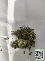 1aefb23f550873aabdf10a5af0ada56e.jpg