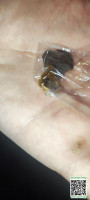 10cf0f5c20f1685077cf7959316cc85a.jpg
