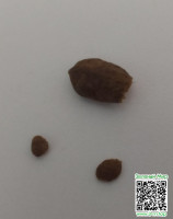cb38fdbb9a29dc6cbd09c4b1613bf43a.jpg