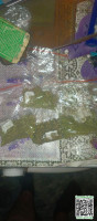 0cee21b9dcdedba3b9b14a475f27b098.jpg