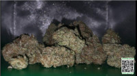 cc8f199ed66959a48deb75a14f1192eb.jpg