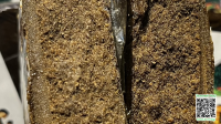 1f21038756cb218a88fec44ae1691a2e.png