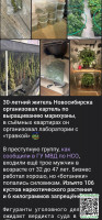 80e1d91b7879433726190a484ff29fa2.jpg