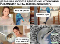 6b446b9417f025b02bf8aed40ce82a5c.jpg